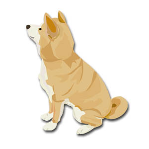 柴犬のイラスト イラスト素材パラダイス