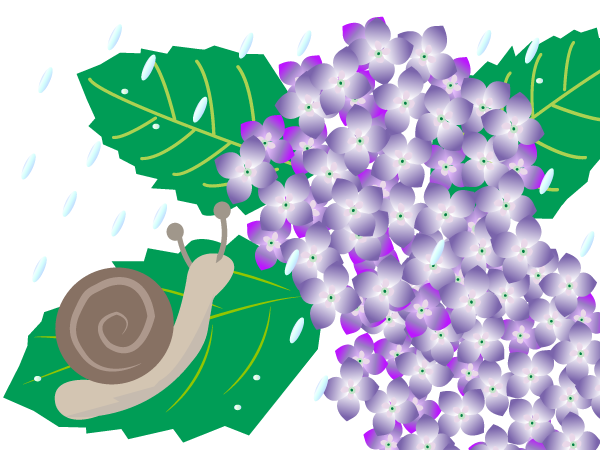 紫陽花とカタツムリ イラスト素材パラダイス