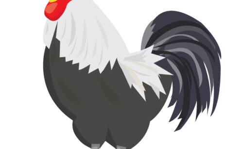 動物 ページ 6 イラスト素材パラダイス