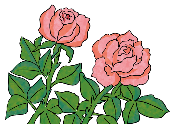 バラの花のイラスト イラスト素材パラダイス